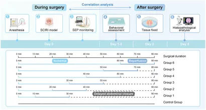 ピノ様 ピアノコンシェルジュ いち押し！DIAPASON（ディアパソン）/ D183