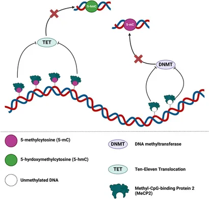 上田^_^ DONG Jintang - Faculty - SUSTech