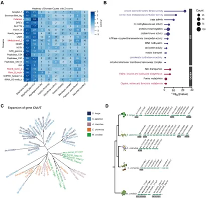 Frontiers | Genome assembly of Stephania longa provides
