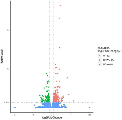 Frontiers | Fucoidan changes lipid accumulation in the liver