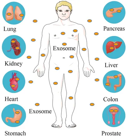 専用ページ050 fimmu-15-1417758-g002.jpg