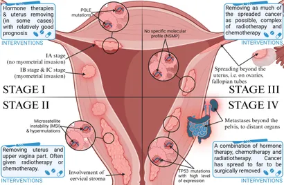 Frontiers | The role of ncRNAs and exosomes in the