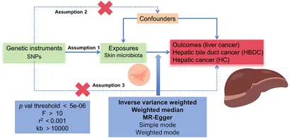 Potential Disrupting Effects of Wastewater-Derived