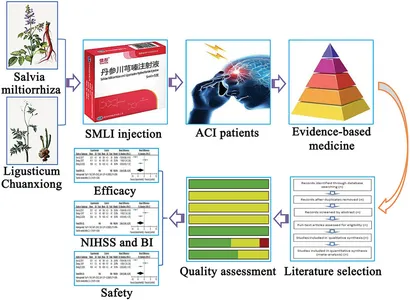 Frontiers | Safety and effectiveness of Salvia miltiorrhiza