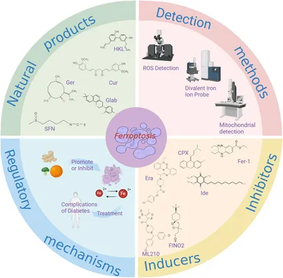 Frontiers | Therapeutic effects of natural compounds against