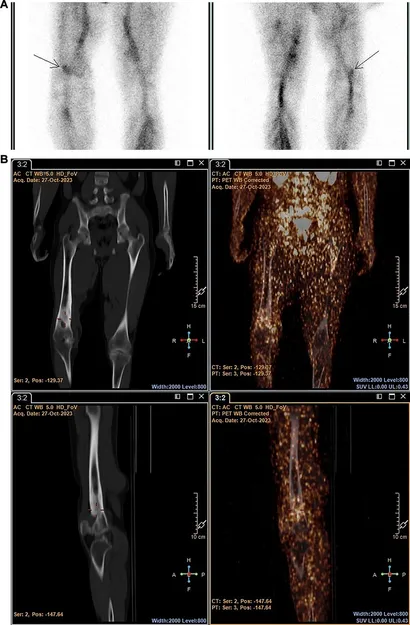 【公式ショップ】 fnume-04-1426650-g006.jpg 医学一般