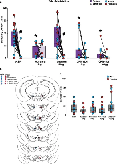 Frontiers | Corticotropin-releasing factor and GABA in the