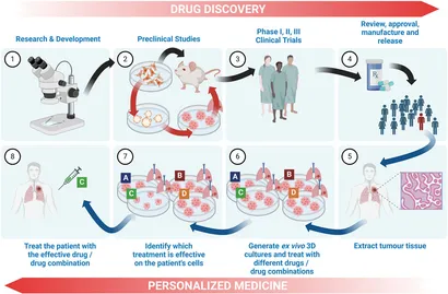 Frontiers | 3D cell culture models in research: applications