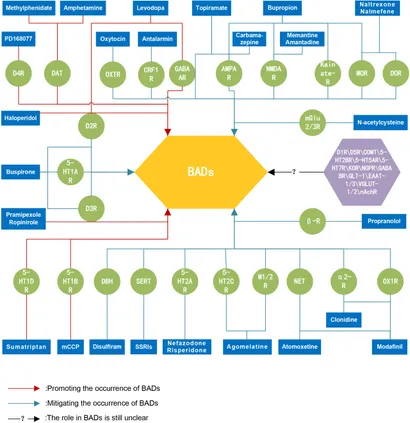 Shared Mechanisms of GABAergic and Opioidergic Transmission