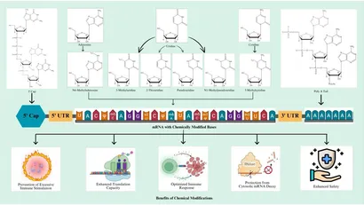 専用ページ052 高井さんの牛革5EセンターファスナーシューズEX(49_24.5cm