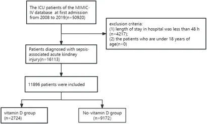 Frontiers | Vitamin D supplementation may be beneficial in