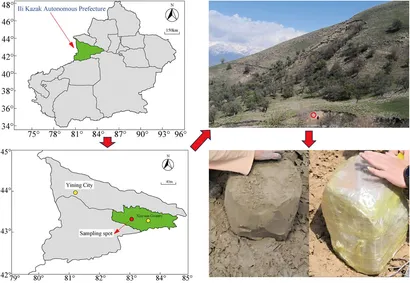 Frontiers | Triaxial mechanical behaviours of Ili loess