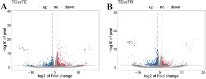 Frontiers | Transcriptomic analyses of Pinctada fucata