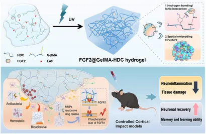 Frontiers | Advances of naturally derived biomedical