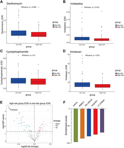 Frontiers | The synergistic effects of anoikis-related genes