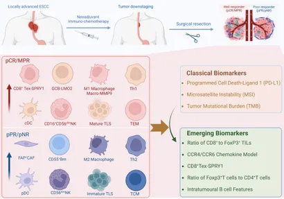 Frontiers | From tumor microenvironment to emerging