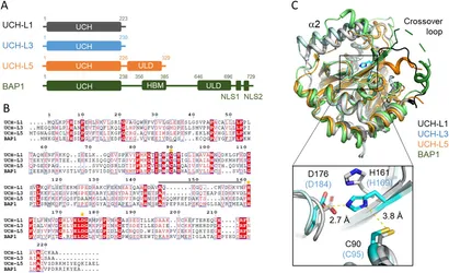 臨床病態栄養学 = Pathophysiological Bases of C… frbis-02-1479898-g001.jpg