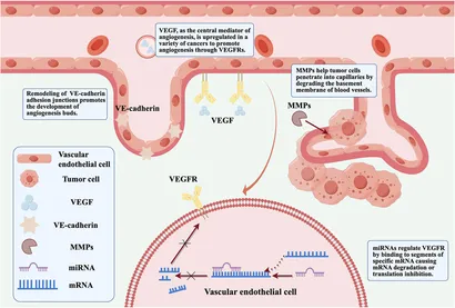 Recent Advances in Magnesium–Magnesium Oxide Nanoparticle
