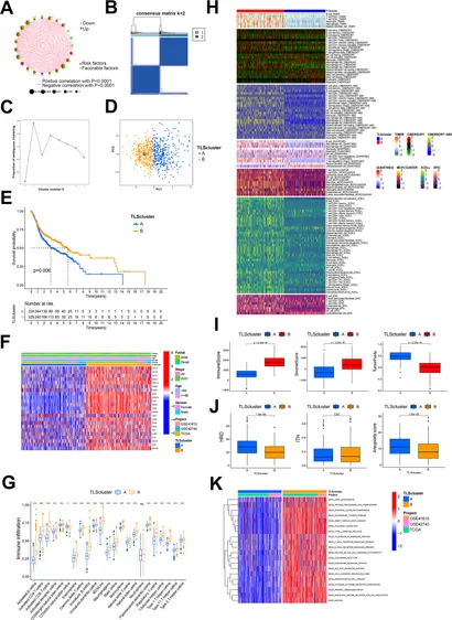 Frontiers | AURKA inhibitor-induced PD-L1 upregulation
