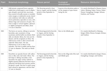 Frontiers | Euodiae Fructus: a review of botany, application