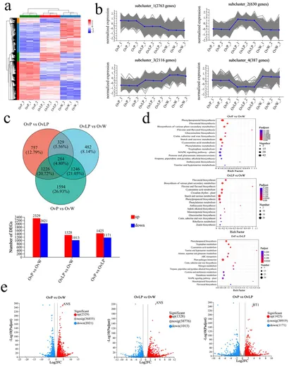 かなこ Frontiers | Integrated transcriptomic and metabolomic
