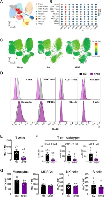 芸能人愛用のルームウェア MerTK of Downregulation | Frontiers in cells T circulating 香水(ユニセックス)