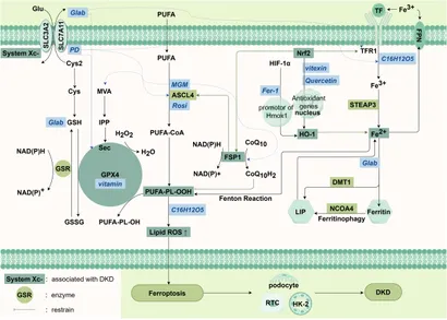 Frontiers | Targeting programmed cell death pathways