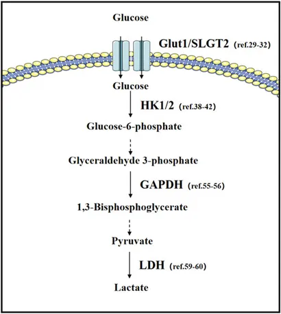 K.A.様 Frontiers | Metabolic reprogramming in lung cancer and its