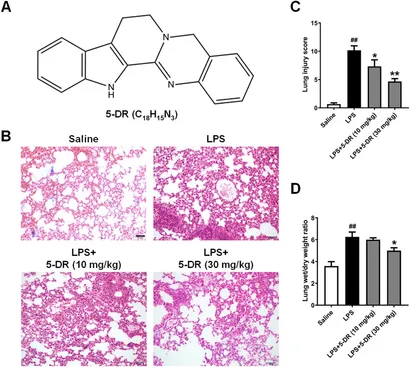 Frontiers | 5-deoxy-rutaecarpine protects against LPS