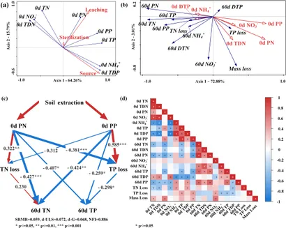 Frontiers | Interactions between N, P in the overlying water