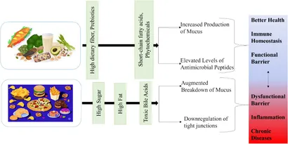 JIN様 オーダー Self-Catalyzing Chemiluminescence of Luminol-Diazonium Ion