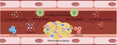 贅沢 Frontiers | Crosstalk between lipid metabolism and 文学・小説