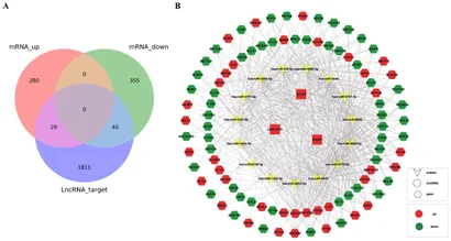 その他 Sentence Frontiers | LncRNAs in serum-derived extracellular vesicles