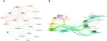 Frontiers | Obesity and psychology: a bibliometric analysis