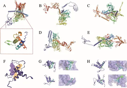 Frontiers | Screening and transcriptomic analysis of anti