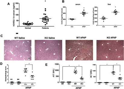 まとめ×2 4961607237298_3.jpg