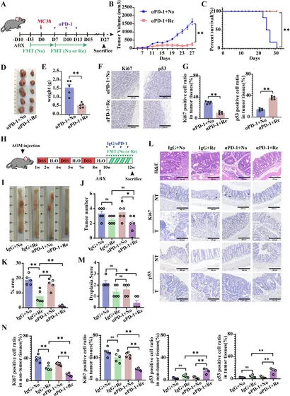 キム Combinatorial design of siloxane-incorporated lipid
