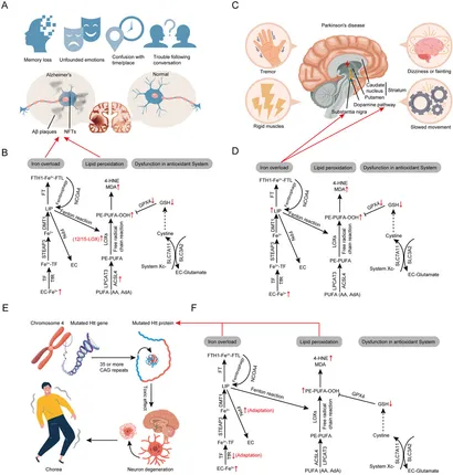 Frontiers | Natural flavonoids from herbs and nutraceuticals