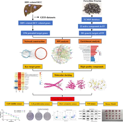 Frontiers | Network pharmacology integrated with molecular docking