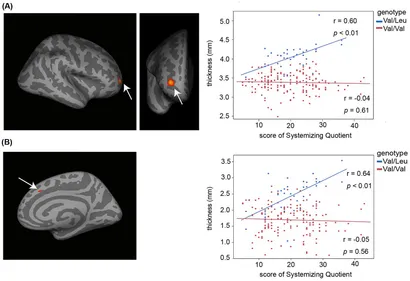 貴重！D「Genetic World」3種など 14点 ASAGI Ruiza 貴重！D「Genetic World」3種など 14点 ASAGI Ruiza