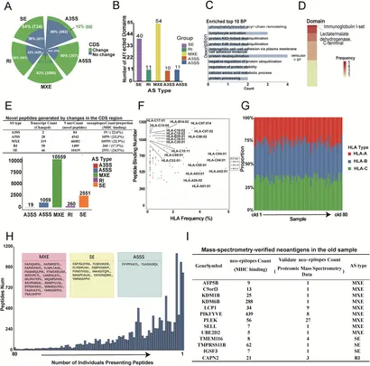 Frontiers | Aging-related alternative splicing drive