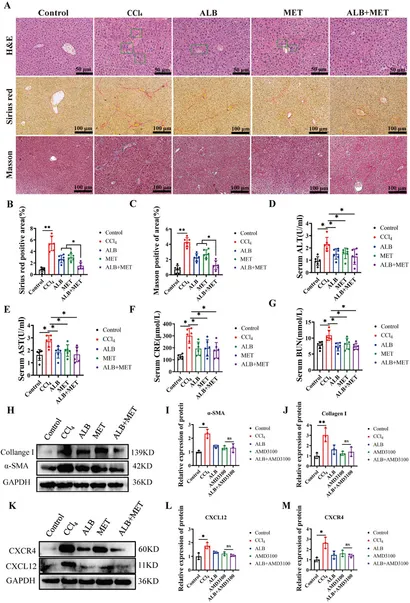 【在庫有】 Albiflorin | Frontiers inhibits improve to inflammation マウスウォッシュ/スプレー