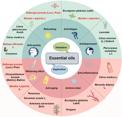 Frontiers | Advances in plant essential oils and drug