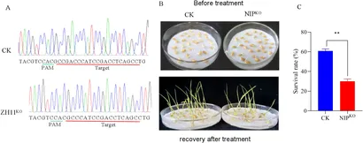 Frontiers | Integrating RNA-Seq and linkage mapping to