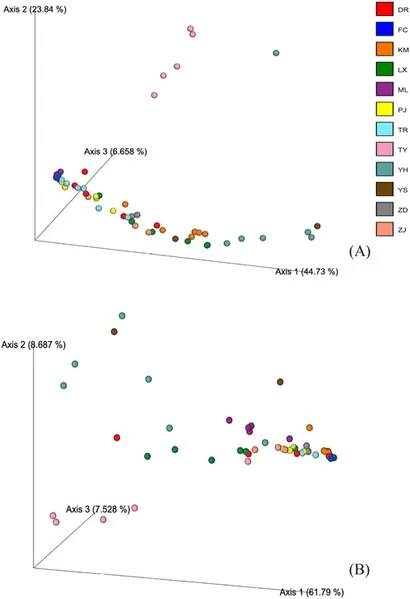 Frontiers | DNA metabarcoding unveils authenticity and