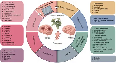 Frontiers | Targeting ferroptosis with natural products in