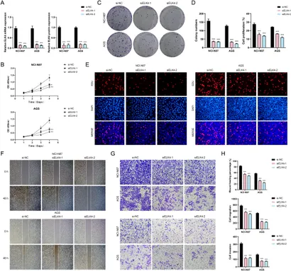 Frontiers | Integrative single-cell and spatial