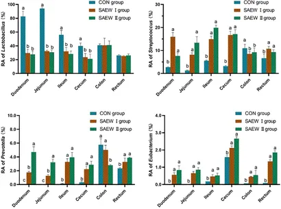 Frontiers | Effect of slightly acidic electrolyzed water in