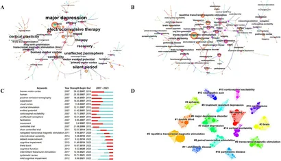 その他 123 Frontiers | Status and trends in transcranial magnetic stimulation