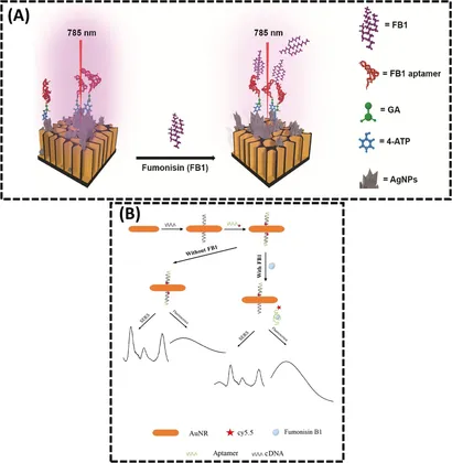 Frontiers | A comprehensive review on optical and
